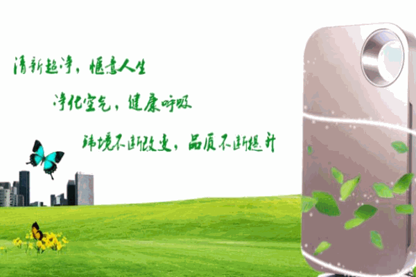 天下无贼空气净化器